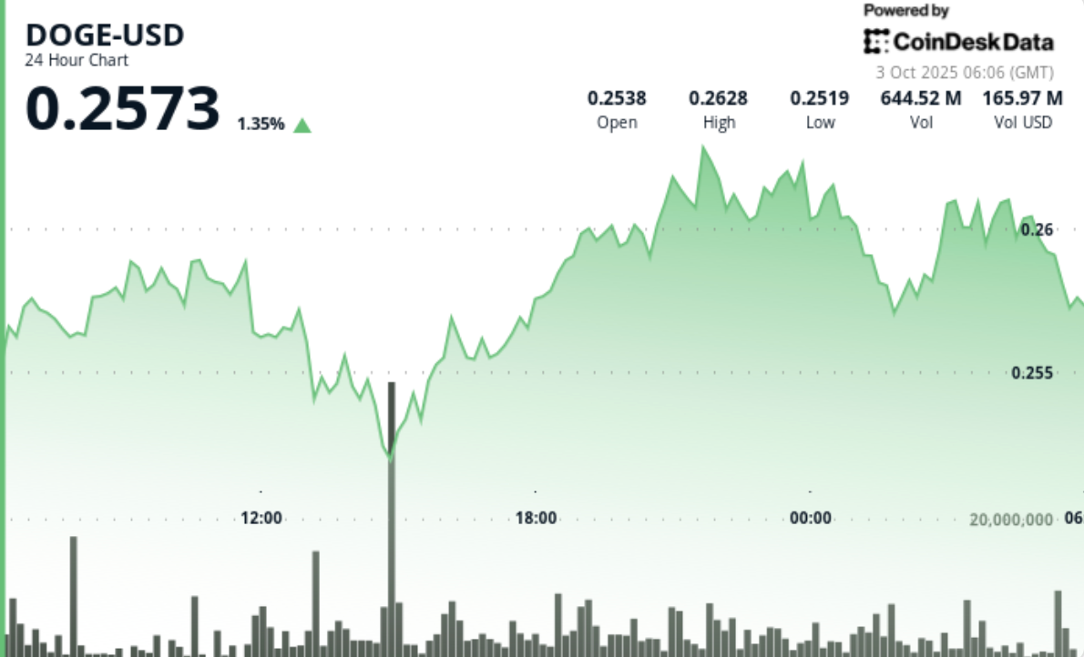 DOGE Anchored Above 0251 Traders Watching 0264 Break