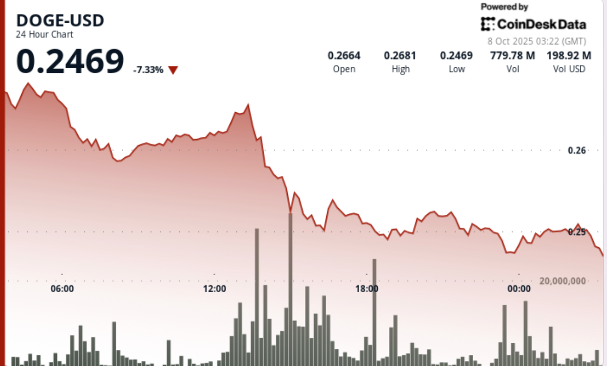 Dogecoin Plunges 8 Before Whale Buying Stabilizes at DOGE Prices 025