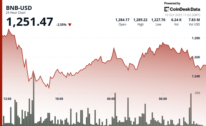 Distribution Is the Key BNBs 129 Rally Mirrors Solanas 2024 Surge