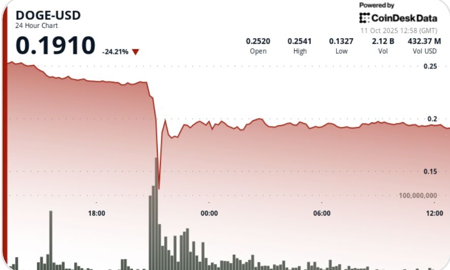 DOGE Suffers 50 Flash Crash Before Stabilizing Near 019